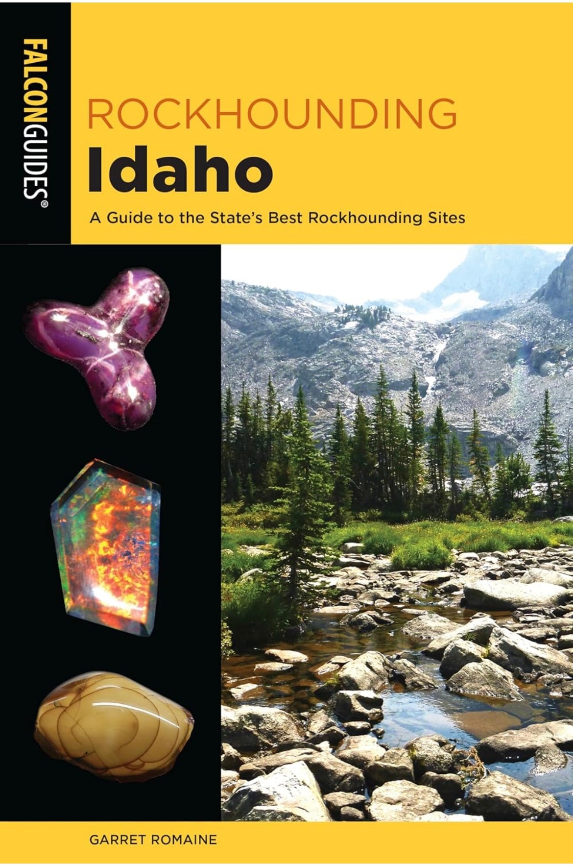 ACE+ Science STEM Skills Earth Science