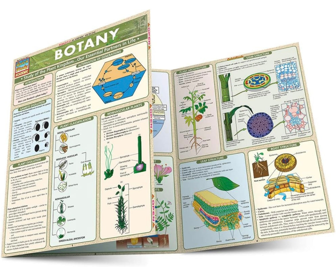 ACE+ Botany on a Budget - Local TV pickup only, South Nampa