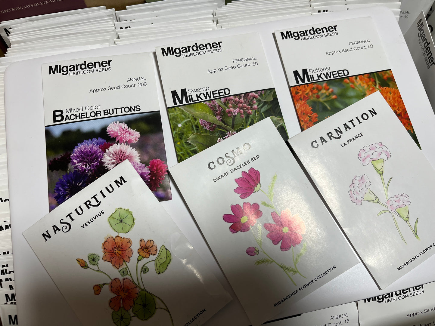 ACE+ Horticultural Studies - Hypothesis, Experimentation, Observation & Charting in Applied Ecology - Pack fA