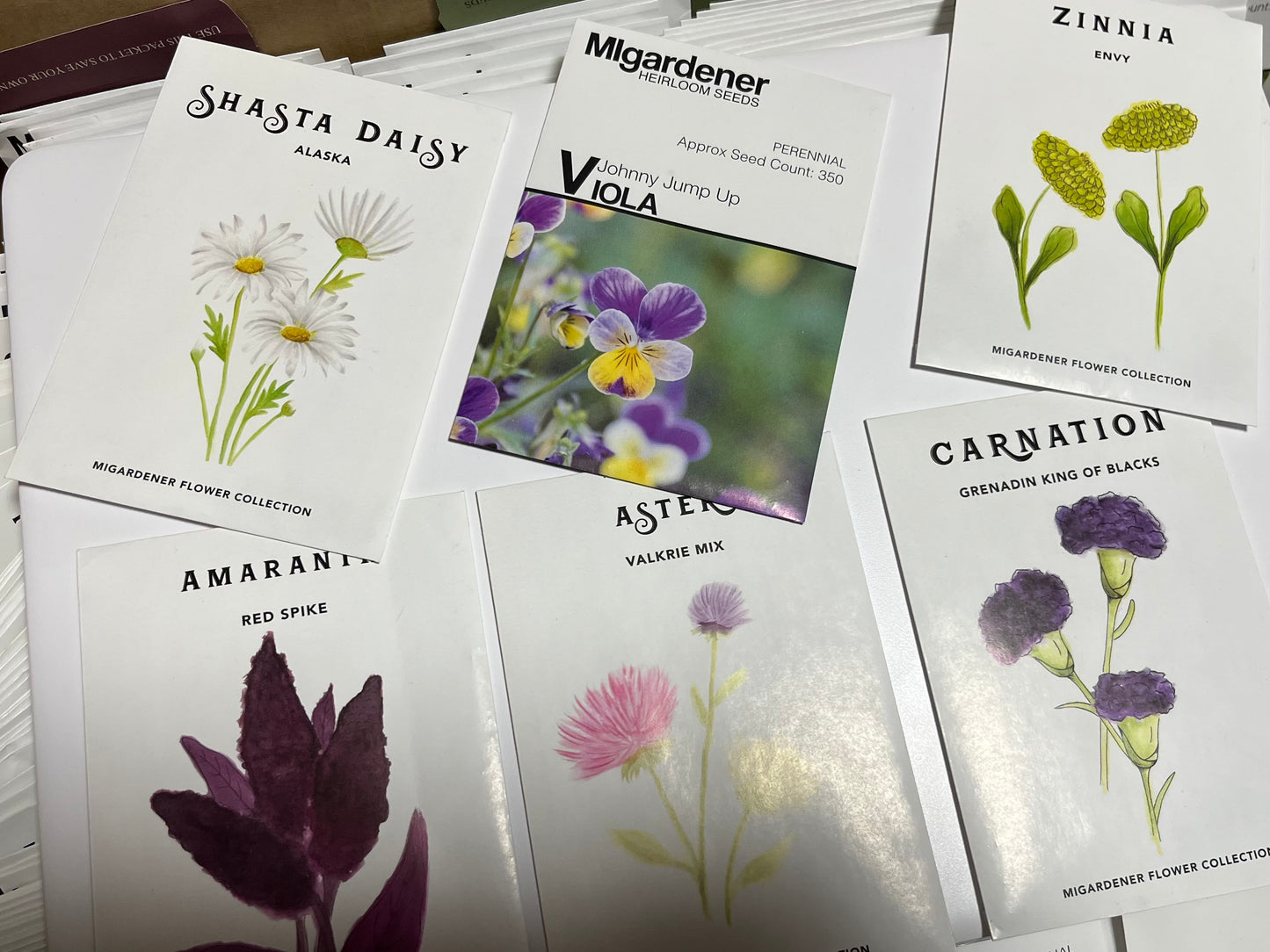 ACE+ Botany on a Budget - Local TV pickup only, South Nampa