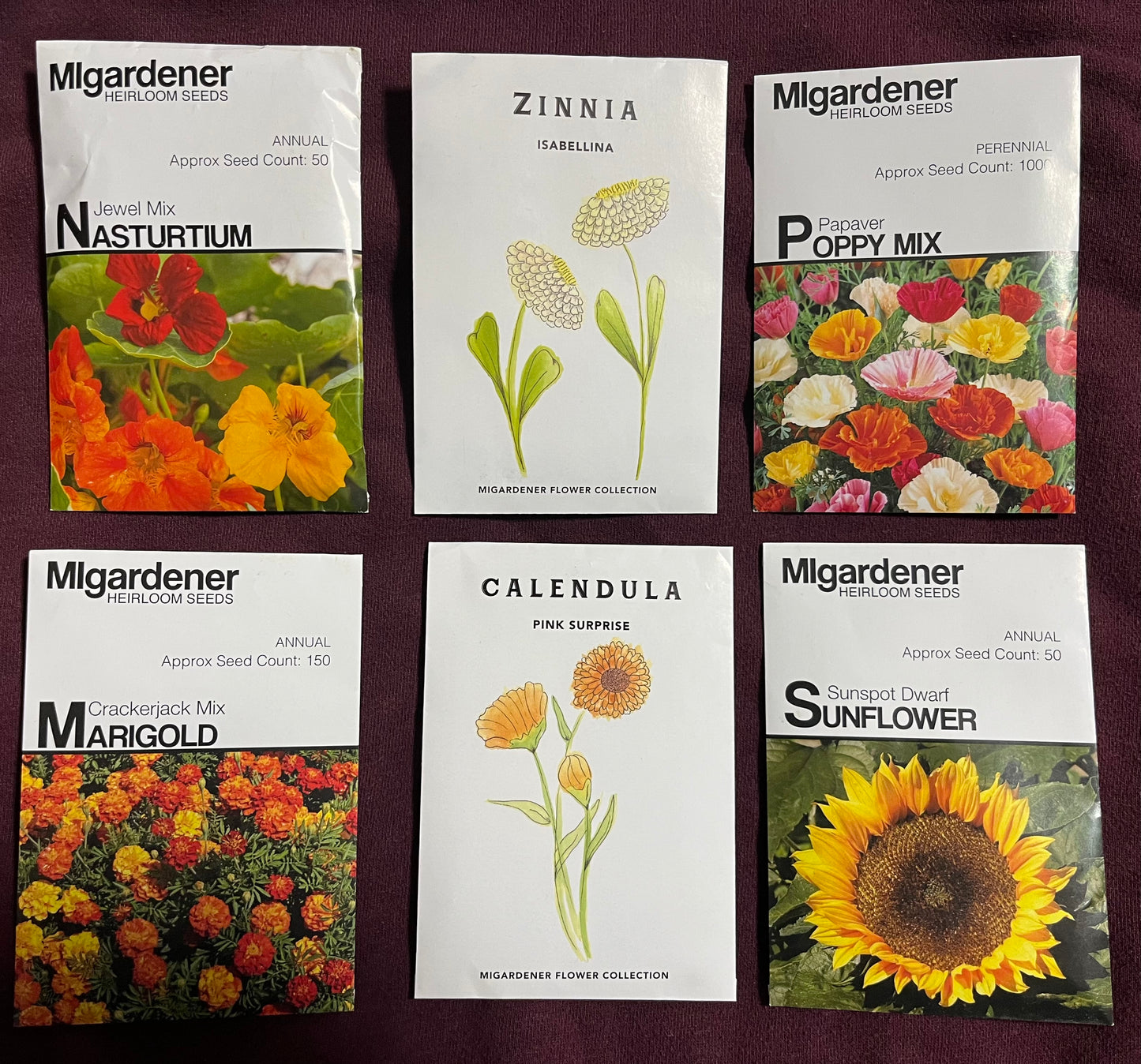 ACE+ Horticultural Studies - Hypothesis, Experimentation, Observation & Charting in Applied Ecology - Flower Pack fC