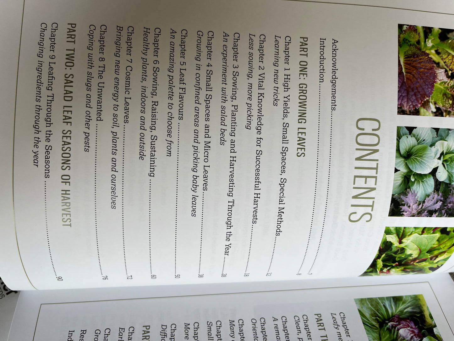 ACE+ Horticultural Studies - Gardening Curriculum - MIGardener 24 seed pack Bundle sB