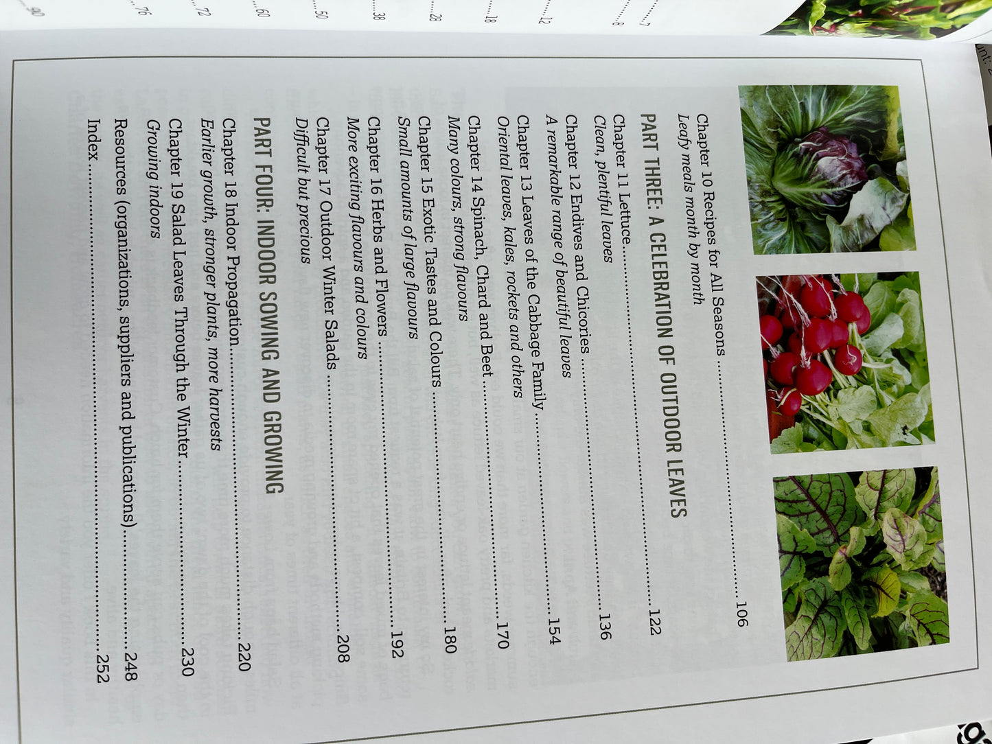 ACE+ Horticultural Studies - Gardening Curriculum - MIGardener 24 seed pack Bundle sB