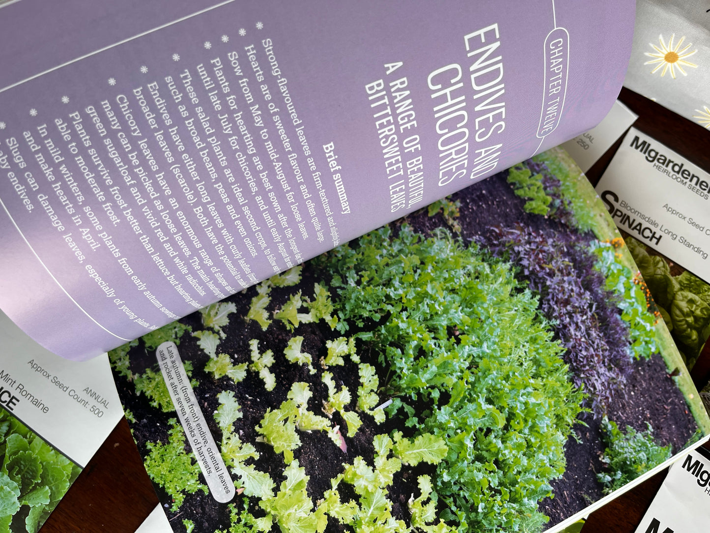 ACE+ Horticultural Studies - Gardening Curriculum - MIGardener 24 seed pack Bundle sB