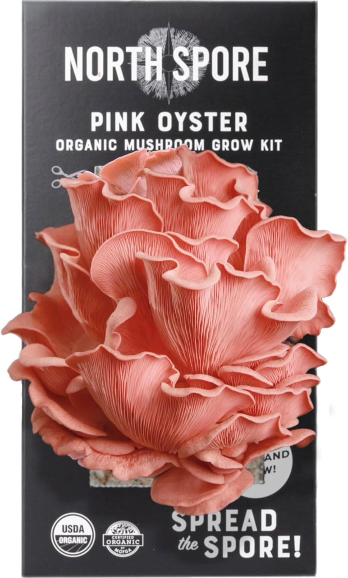 CTE Course Supplies - Horticulture - Pink Oyster Mushroom Growing