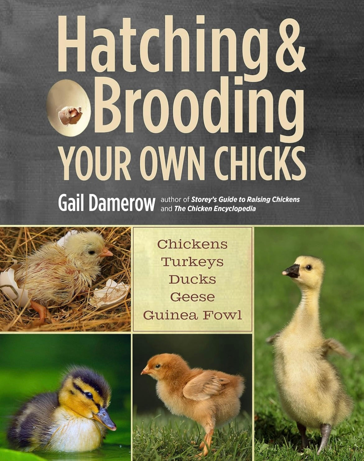 CTE Course Supplies - Animal Science - Chick Hatching Book