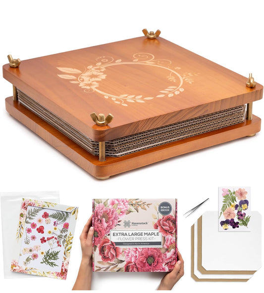 ACE+ Science STEM Studies Botanical Chronometey