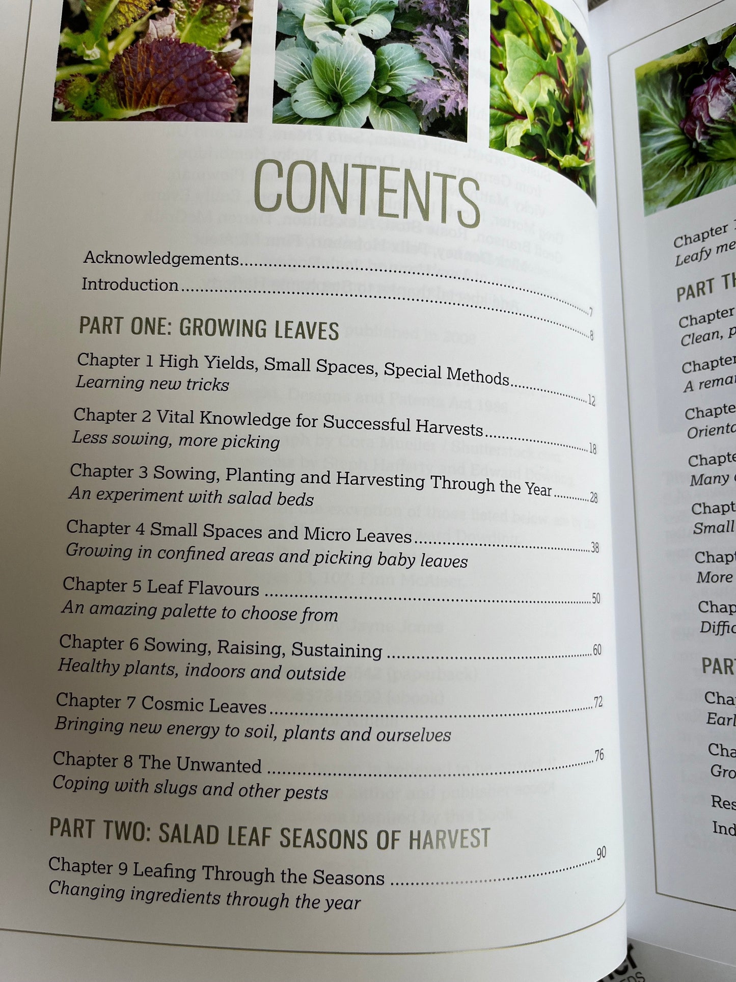 ACE+ Horticultural Studies - Gardening Curriculum - 18 seed pack Bundle winter sown