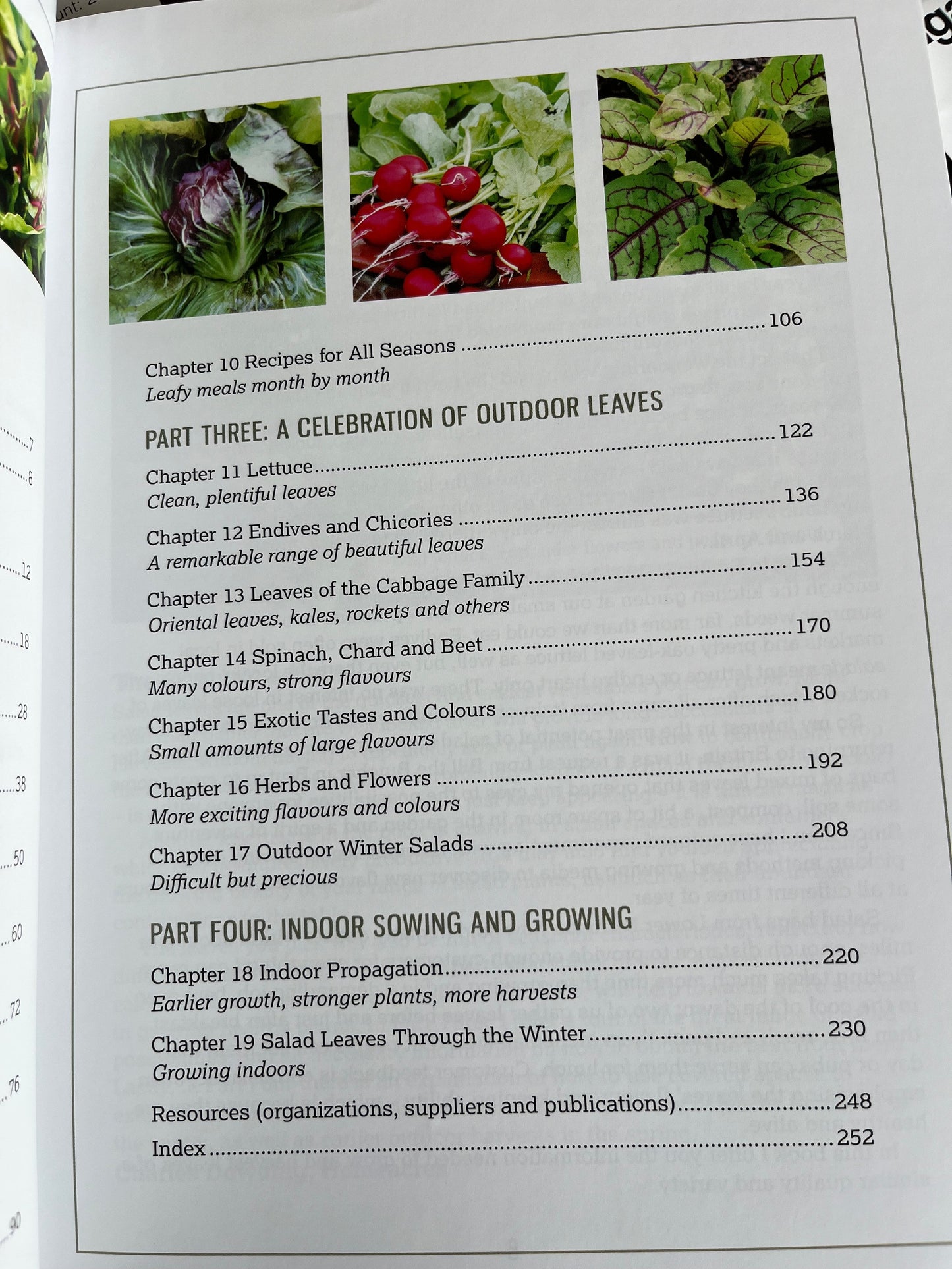 ACE+ Horticultural Studies - Gardening Curriculum - 18 seed pack Bundle winter sown