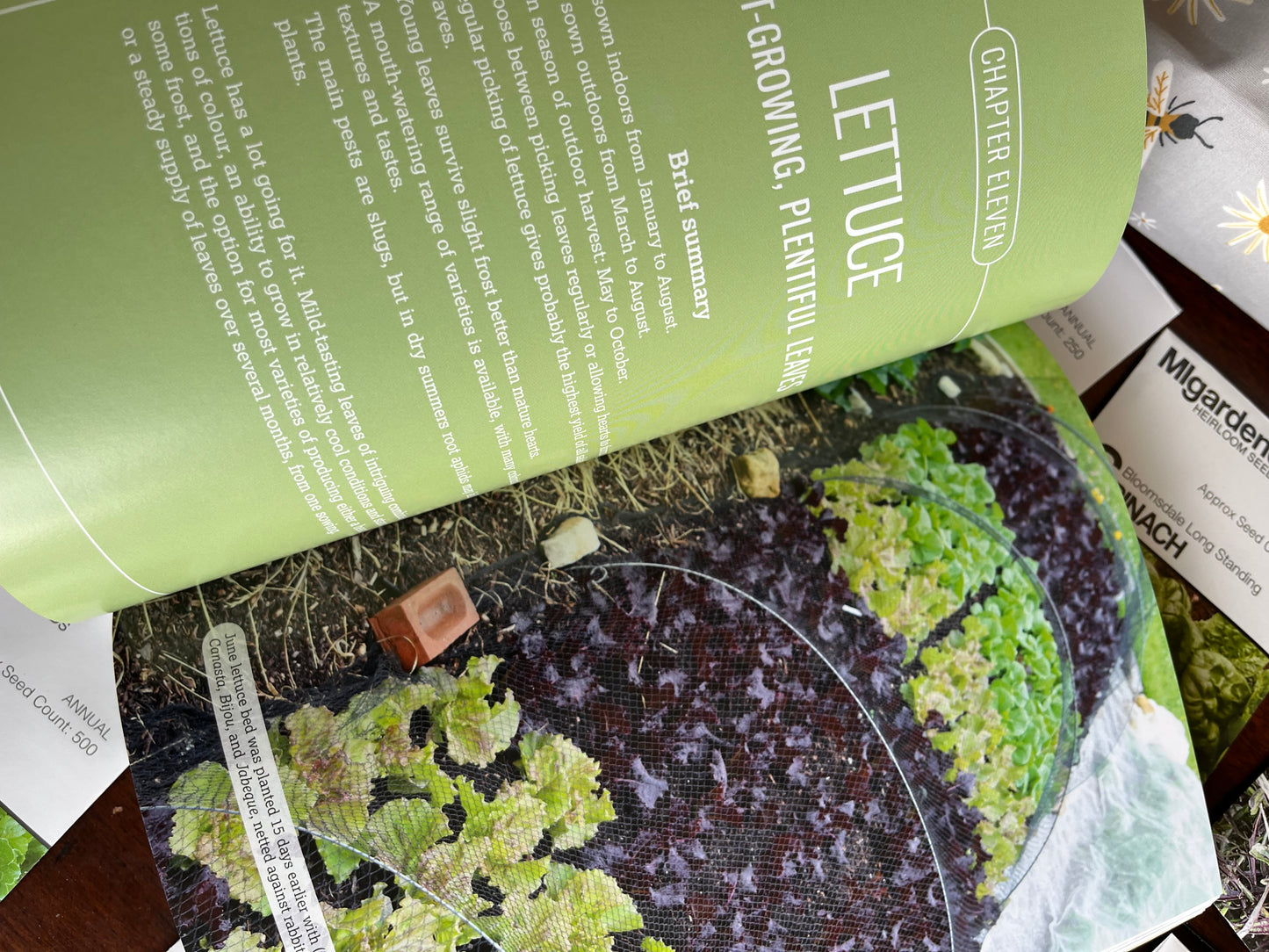 ACE+ Horticultural Studies - Gardening Curriculum - 18 seed pack Bundle winter sown