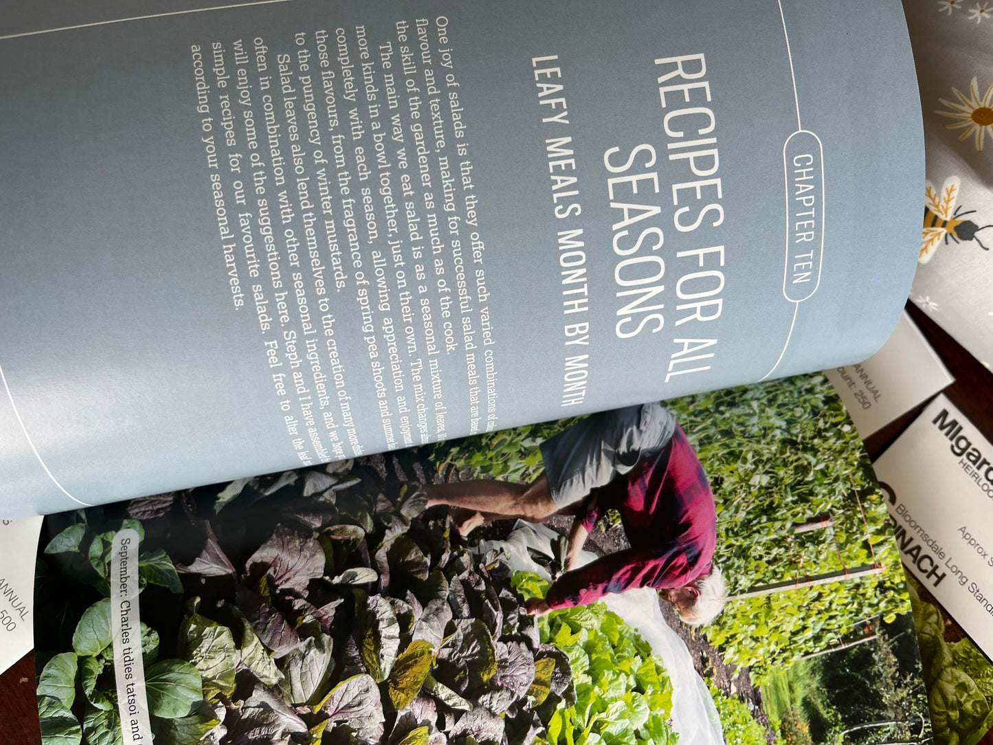 ACE+ Horticultural Studies - Gardening Curriculum - 18 seed pack Bundle winter sown